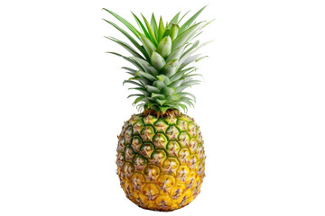 Obraz premium Pineapple fruit. Yellow pineapple isolated on transparent background.