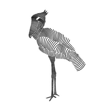 recommend clip art: Simple line art illustration of shoebill stork 1