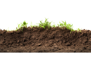 Fototapeta premium 3D image of pores in the soil. changes in soil salinity levels.Isolated transparent background