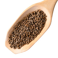 Perilla seed in wooden spoon