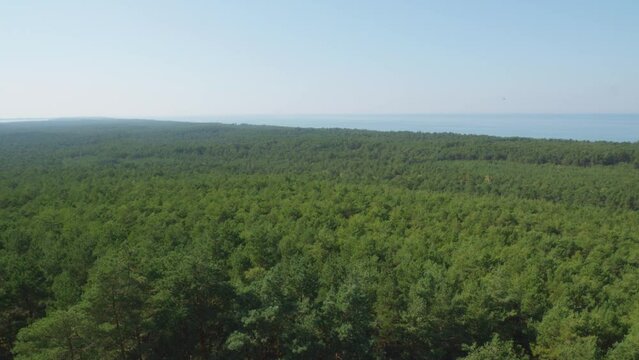 A panoramic view from the top of the Stilo lighthouse, overlooking the lush green forest and the Baltic sea. Static shot.