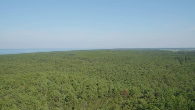 A panoramic view from the top of the Stilo lighthouse, overlooking the lush green forest and the sea, blending the beauty of nature with the maritime landscape . Pan left shot.