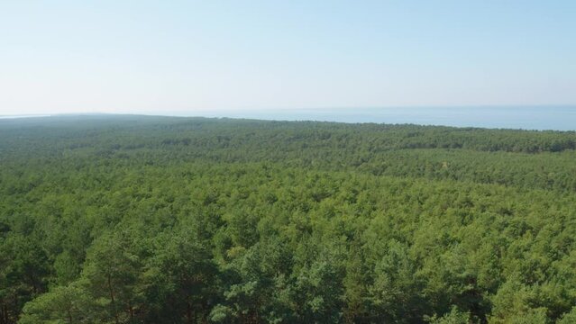 A panoramic view from the top of the Stilo lighthouse, overlooking the lush green forest and the Baltic sea. Static shot.