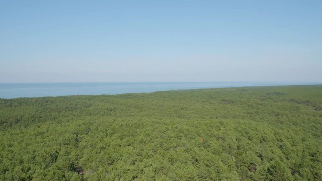 A panoramic view from the top of the Stilo lighthouse, overlooking the lush green forest and the sea, blending the beauty of nature with the maritime landscape . Pan left shot.