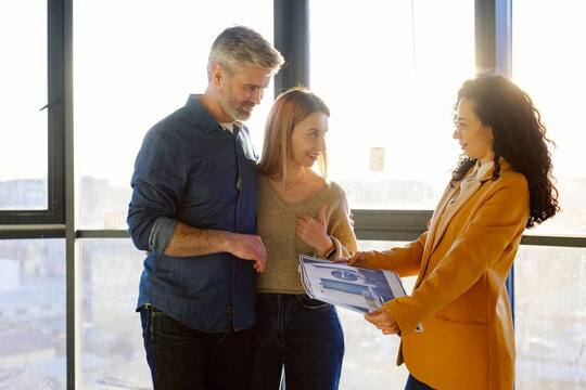 Project Curator Advice Clients Huge Window Flat
  