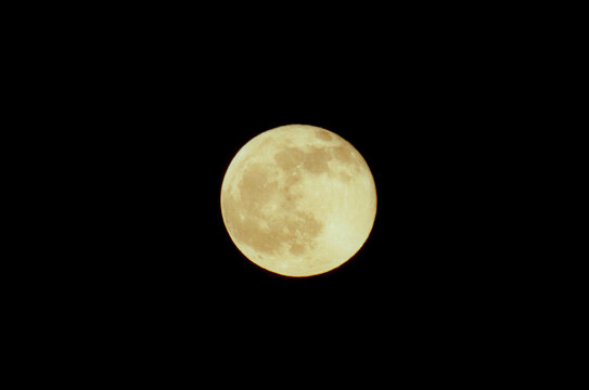 Full Yellow Moon Rise Night Dark Sky Close-up