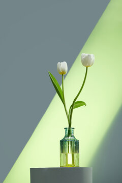 spring bouquet of white tulips flowers in the glass vase