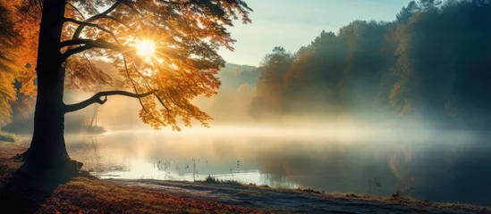 The suns rays pierce through the foggy autumn forest, creating a beautiful scene near a serene lake. The trees stand tall, casting long shadows on the water as nature awakens to the morning light. © AkuAku