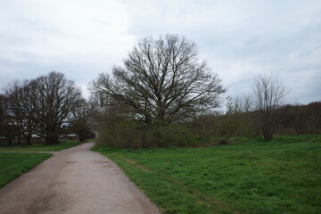 Wimbledon Park, UK, London, Winter