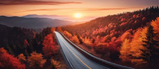 Fotobehang A painting depicting an aerial view of an empty rural road winding through a dense forest. The trees are painted in hues of red and orange, portraying the autumn season. The scene is captured at © AkuAku