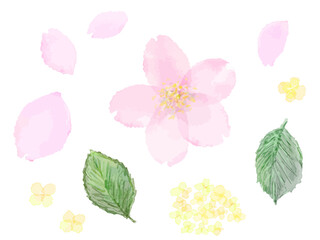 桜の水彩風モチーフ