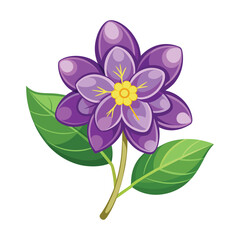 Lilac Flower Illustration on White Background