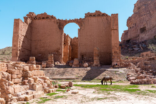 Temple and horses in Petra, Jordan
