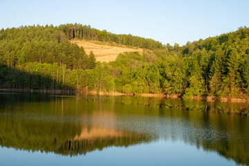 Fototapeta premium 新緑を映す湖面 