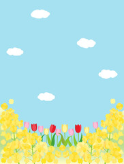 菜の花とチューリップと青空の春の丘のカード　縦型バージョン