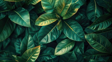 A detailed look at a lush, green, leafy plant. Generative Ai