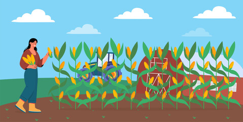 Woman harvesting corn vector