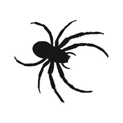 Spider silhouette vector