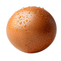 single chicken egg isolated on white and transparent background