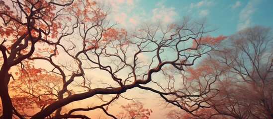 A painting depicting a tree with no leaves, its barren branches reaching towards the sky. The tree stands stark against the background, creating a simple yet striking image.
