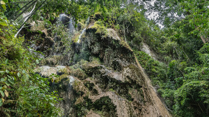 Waterfall in the rainforest. Thin streams of water fall in cascades from limestone ledges. Green lush vegetation on the rocks. Philippines. Tumalog Falls. Cebu Island. Oslob