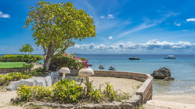 The embankment by the ocean. Deciduous trees, flowering bougainvillea, green lawn, figures of decorative mushrooms on a turquoise sea background. Boats, ships, a picturesque cliff in the distance. 
