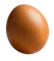 single chicken egg isolated on white and transparent background