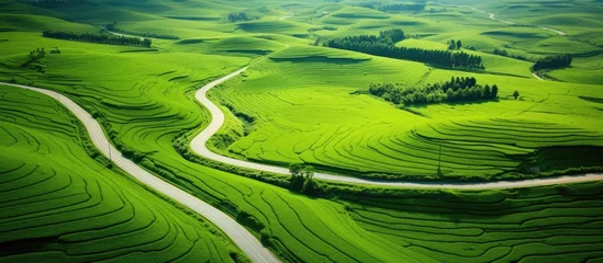 Foto op Plexiglas This aerial view showcases a lush green valley with vibrant fields stretching as far as the eye can see. The landscape is rich and fertile, offering a serene and tranquil scene from above. © AkuAku