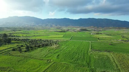  Landscape. Meadows and plains of Cyprus.