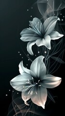 White flower black background wallpaper for phone