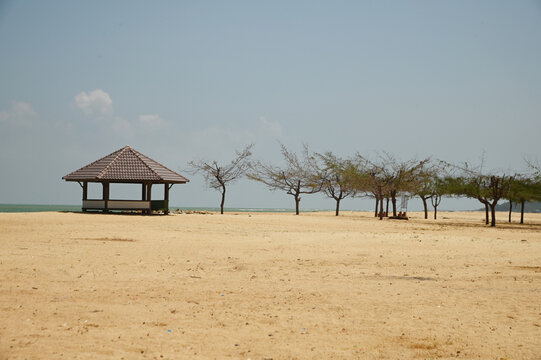 Panare Beach is a beautiful, clean white beach. fresh air The surrounding area has long shady pine trees, beautiful and suitable for relaxing. Located at Pattani Province in Thailand.