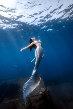 Female mermaid with the wreck