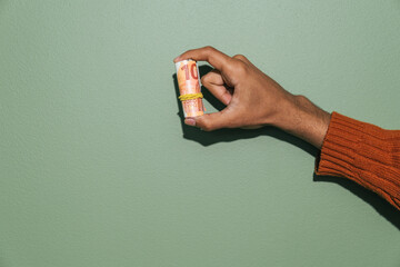 hand holding euro money