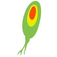Copepod Microorganism Cartoon