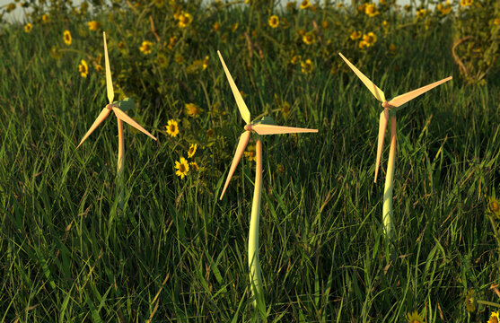 natural power