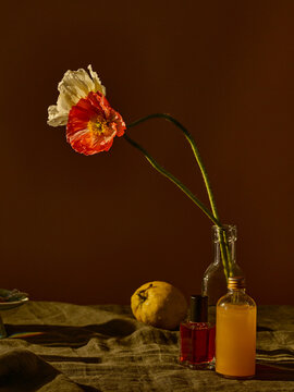 Elevated, sober beauty concept still life