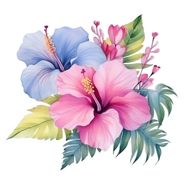 watercolor hibiscus flowers in pink and blue clip art preview