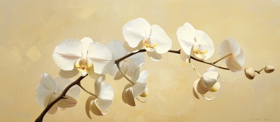 A branch of Phalaenopsis orchid with delicate white flowers stands out against a beige background. The elegant blooms contrast beautifully with the soft, pale yellow tones surrounding them.