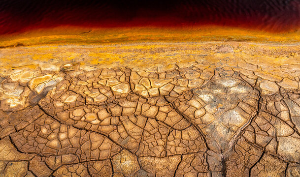 Cracked surface of dry ground in sunlight