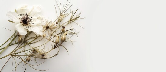 A bunch of flowers, including dry nigella flowers, hanging on a wall against a crisp white background. The flowers bring a touch of elegance to the serene simplicity of the setting.