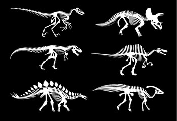 Dinosaur fossil skeletons and Jurassic dino bones imprints, vector white silhouettes. Dinosaur archeology fossil skeletons of extinct reptile, T-rex tyrannosaurus or velociraptor and stegosaurus bones