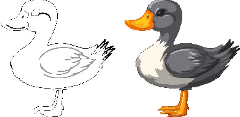 Fototapeta premium Vector illustration of a duck, sketched and colored