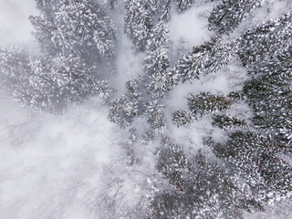 ドローン写真：霧が立ち込める、綺麗な雪に覆われた雪山