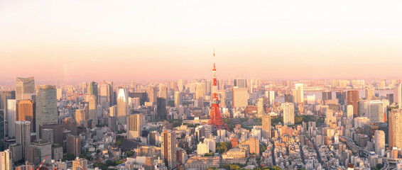 panoramic modern city skyline bird eye aerial view under sunrise and morning blue bright sky in Tokyo, Japan