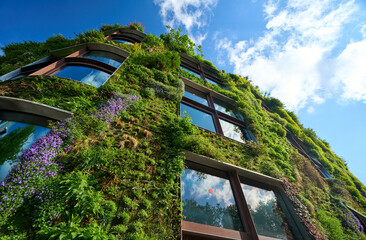 Sustainable Vertical garden, living green wall  for urban cooling