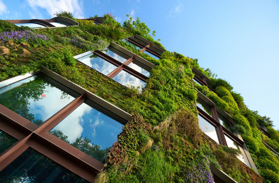 Vertical garden living green wall - urban facade climate adaptation