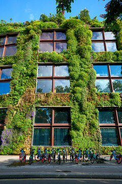City bikes and living green wall - urban sustainability