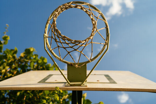 Basketball board with hoop in daylight and green leaves