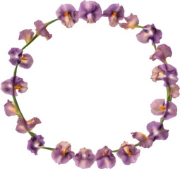 Colorful painting of Iris floral frame.