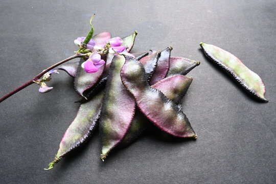Lablab purpureus vegetable on black background.  Its other names lablab bean,&nbsp;bonavist bean pea,&nbsp;dolichos bean,&nbsp;seim,&nbsp;lablab,&nbsp;Egyptian kidney bean,&nbsp;Indian bean. 
